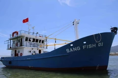 (Ảnh minh họa: Trần Lê Lâm/TTXVN)