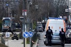 Cảnh sát Bỉ làm nhiệm vụ trong cuộc bố ráp ở Schaerbeek, Brussels ngày 25/3. (Nguồn: AFP/TTXVN)