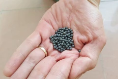 Bé trai 3 tuổi nghịch súng bắn trúng em bé 9 tháng tuổi