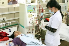 (Ảnh minh họa: Dương Ngọc/TTXVN)