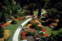 Ảnh minh họa. (Nguồn: youtube.com)