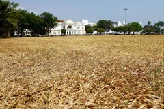 Nắng nóng tại Malaysia. (Nguồn: straitstimes.com)