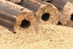 An Giang: Có thể thu được hàng trăm MW điện mỗi năm từ trấu