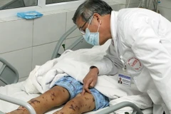 (Ảnh minh họa: Dương Ngọc/TTXVN)