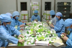 Đóng gói sản phẩm tại Công ty TNHH Nam Dược (Nam Định). (Ảnh: Anh Tuấn/TTXVN)