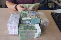Cả 4 ngân hàng có vốn Nhà nước đều có nhu cầu tăng vốn điều lệ. (Ảnh: T.H/Vietnam+)