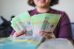 Tỷ lệ sở hữu chéo đã giảm nhiều. (Ảnh. M.S/Vietnam+)