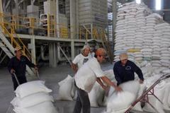 NHNN yêu cầu các ngân hàng cân đối nguốn vốn để cho vay thu mua thóc gạo vụ Đông Xuân 2019. (Nguồn: TTXVN)