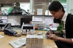 Ảnh minh họa. (Ảnh: T.H/Vietnam+)