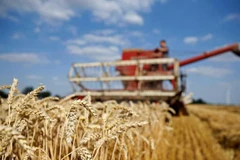 UNCTAD: Triển vọng của kinh tế thế giới xấu đi do xung đột ở Ukraine