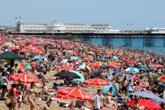 Anh ban bố tình trạng khẩn cấp quốc gia vì nắng nóng