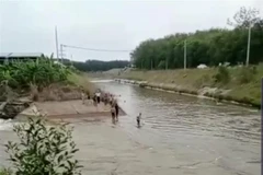 Bình Dương tìm thấy thi thể hai người tử vong dưới kênh nước