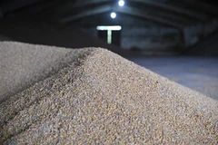 Xuất khẩu ngũ cốc của Ukraine tăng 80% trong tháng Năm