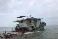 Hải Phòng: Cứu sống 5 thuyền viên trên tàu vận tải bị chìm trên biển