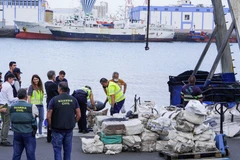 Tây Ban Nha thu giữ gần 3 tấn cocaine giấu trong thuyền đánh cá