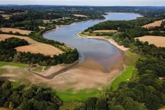 Anh hạn chế sử dụng nước để ứng phó với hạn hán khắc nghiệt