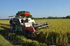 Cơ hội hợp tác kinh tế giữa tỉnh Thái Bình và vùng Tuscany của Italy