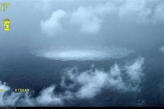 EU nới lỏng các quy định trong dự luật cắt giảm khí methane