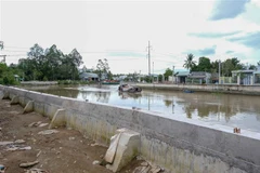 Cần Thơ chi hơn 13 tỷ đồng xây các tuyến kè chống sạt lở khẩn cấp