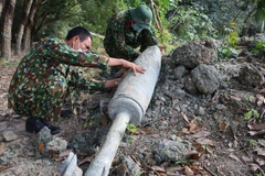 Đặc phái viên Công ước Ottawa sẵn sàng hỗ trợ Việt Nam hơn nữa