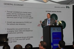 Chuyên gia Anh: Kinh tế Việt Nam tăng trưởng nhờ sự ổn định, hội nhập