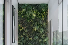 8 cách mang thiên nhiên vào nhà ngày càng được ưa chuộng