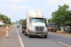 Bình Thuận liên tiếp phát hiện nhiều lái xe dương tính với ma túy 