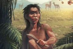 Trung Quốc giải mã trình tự gene của hài cốt 14.000 năm tuổi