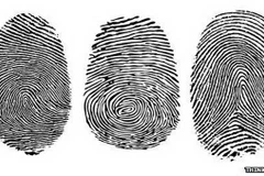 Phát hiện mới về cơ chế hình thành dấu vân tay của con người