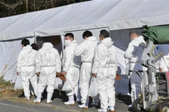 Dịch cúm gia cầm đang diễn biến phức tạp tại Nhật Bản và Nga