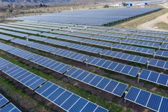 AfDB thúc đẩy sáng kiến biến sa mạc thành năng lượng thắp sáng Sahel