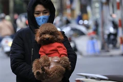 Không khí lạnh gây mưa rét trên đất liền, nhiều vùng biển nguy hiểm