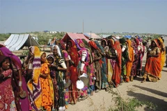 Diễn đàn lương thực thế giới thu hút và đề cao vai trò của giới trẻ