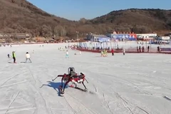 Ra mắt robot trượt tuyết có thể tranh tài với vận động viên