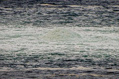 Cảnh sát và quân đội Đức điều tra các sự cố với đường ống Nord Stream