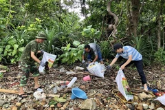 WB đề xuất lộ trình hạn chế, xử lý ô nhiễm nhựa dùng 1 lần ở Việt Nam