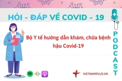 Hỏi đáp COVID-19: Người dân kiểm tra hộ chiếu vaccine bằng cách nào?