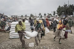 EU kêu gọi viện trợ cho nước bị ảnh hưởng khủng hoảng lương thực