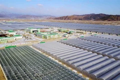 Hàn Quốc đề xuất gói viện trợ kinh tế quy mô lớn cho Triều Tiên 