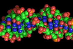 Lần đầu giải mã thành công trình tự hoàn chỉnh của một bộ gene người