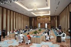 Chia sẻ kinh nghiệm và tham vấn dự thảo luật chuyển đổi giới tính