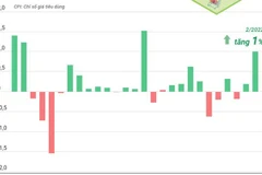 [Infographics] Chỉ số CPI tháng Hai tăng 1% so với tháng trước