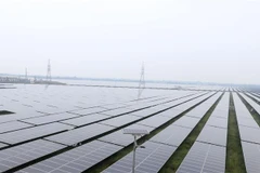 ADB: Phục hồi xanh tại Đông Nam Á có thể thu hút 172 tỷ USD vốn đầu tư