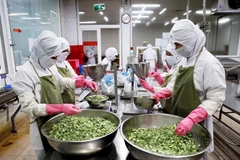 Việt Nam và OECD trao đổi xây dựng dự thảo báo cáo kinh tế Việt Nam