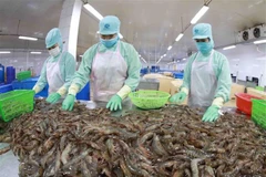 Ba yếu tố giúp nền kinh tế Việt Nam tăng trưởng ổn định