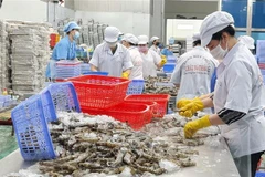 Nam Phi - thị trường đầy tiềm năng cho hàng thủy, hải sản Việt Nam
