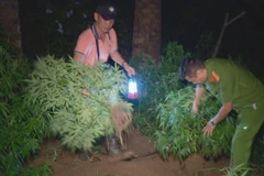 Bộ Công an: Toàn quốc không còn tụ điểm ma túy phức tạp, gây bức xúc