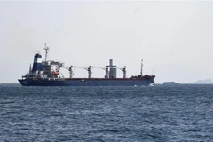 Nga và Ukraine nhất trí các thủ tục về vận chuyển ngũ cốc, phân bón