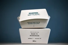 Bao bì phân hủy sinh học - ứng viên cho giải thưởng của Hoàng gia Anh