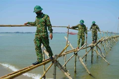 Nhanh chóng đưa Luật Biên phòng Việt Nam vào cuộc sống